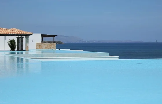 Tropical resort infinity pool with palm trees and turquoise ocean stretching to the horizon
