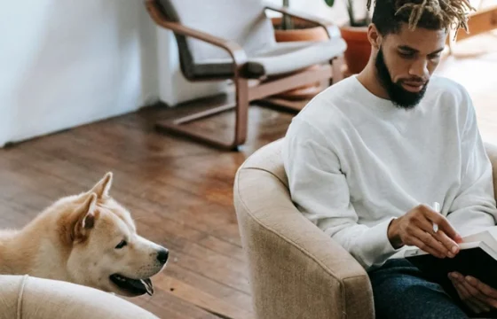 Person reading in an armchair in a comfortable living room with a dog looking